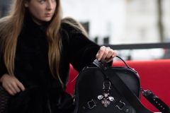 Vienetinė_natūralios_odos_rankinė_dekoruota_Swarovski_kristalais